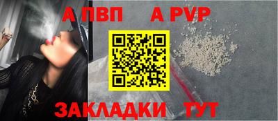 индика Тара