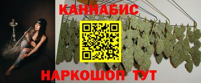 индика Тара