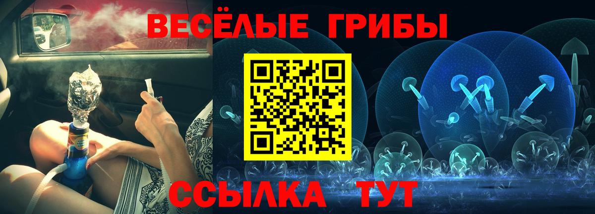 Псилоцибиновые грибы мицелий  Вход с VPN  как найти закладки  Баксан  Галлюциногенные грибы прущие грибы 